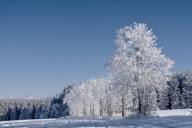 Solar panels covered in light snow on Canadian winter rooftop still generating power